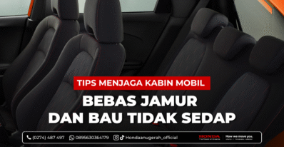 tips kabin bebas jamur dan bau tidak sedap