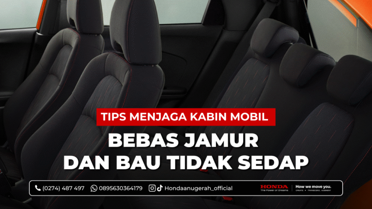 tips kabin bebas jamur dan bau tidak sedap